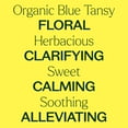 thumbnail image 4 of Plant Therapy Organic Blue Tansy Essential Oil 100% Pure, Undiluted, Natural Aromatherapy 2.5 mL (1/12 oz), 4 of 8
