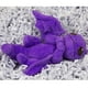 thumbnail image 4 of Peluche Little Embers Dragon de Toynami Miyo, Mystic Musings, 4 of 6