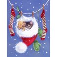 thumbnail image 1 of Pintura de diamante (DE7936) 5D DIY Square Christmas Hat Cat Dog Home Decor 20X30cm Hugtrwg Para estrenar, 1 of 1