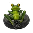 thumbnail image 5 of Dserhfy Floating Frog Decoration Pond Frog Decoration Resin Lying Frog Figure for Outdoor Garden Pond Swimming Pool Decor, 5 of 7