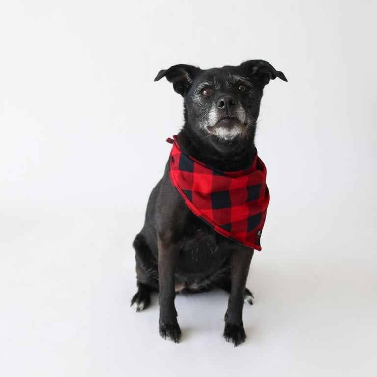 Country Moose Dog Bandana Bib