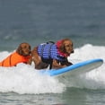 thumbnail image 3 of Meitianfacai Pet Dog Life Swimming Jacket Float Vest Buoyancy Aid Vest Costume Adjustable Pet Dog Swimsuits Dog Life Vest for Small Medium Large Dogs (Blue- S), 3 of 4