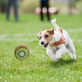 thumbnail image 3 of Pet Plush Toy Interactive Cute Kiwifruit Shape Dog Teething Toy Pet Squeaky Toy, 3 of 4