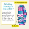 thumbnail image 3 of Country Brook Petz® HossFit Jr Wide Martingale Dog Collar (Albuquerque, Medium), 3 of 6