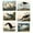 Audubon Birds - Set of 6, variant on Vintage Audubon Birds Collection Set Of 6 Unframed Wall Art Prints Bathroom Bedroom Aesthetic Avocet Heron Ibis Cormorant 12X16 Inch