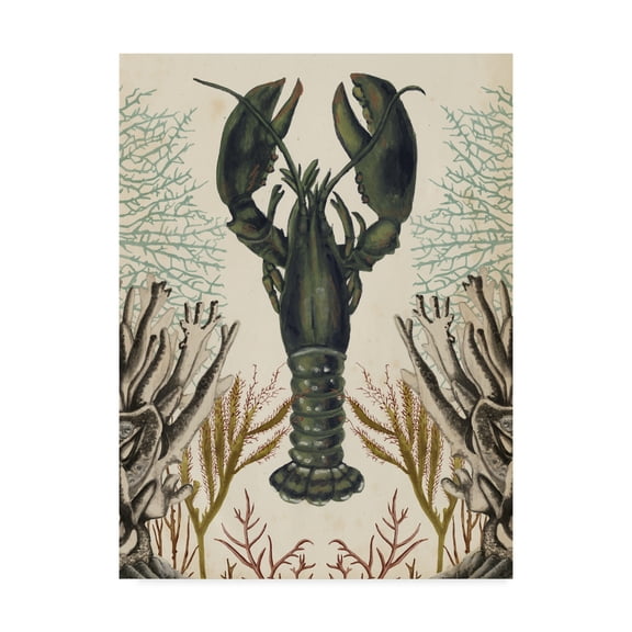 Trademark Fine Art 'Antiquarian Menagerie Lobster' Canvas Art by Naomi McCavitt