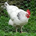 thumbnail image 2 of MTB 20GA Galvanized Hexagonal Poultry Netting Chicken Wire 12 inches x 150 feet x 1 inch Mesh, 2 of 5