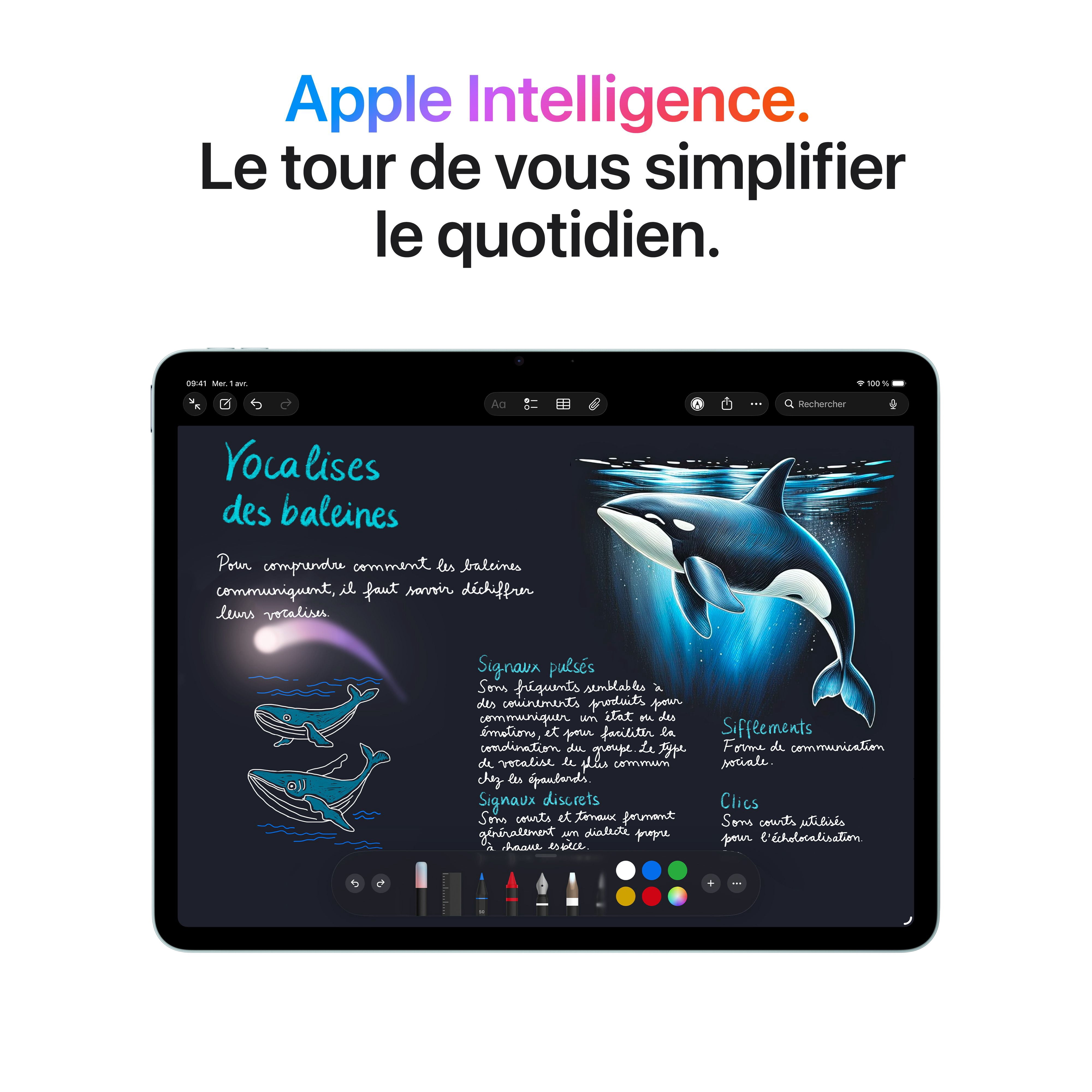 iPad Air 13pouces Wi-Fi 256Go - Gris cosmique (M4)