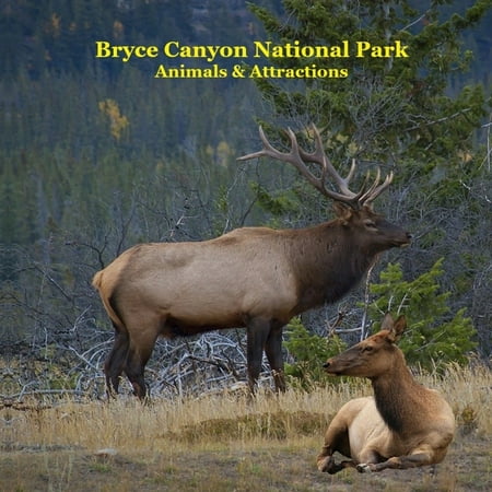 Bryce Canyon National Park Animals Attractions Kids Book: Great Children s Book about Bryce Canyon National Park An (Paperback)