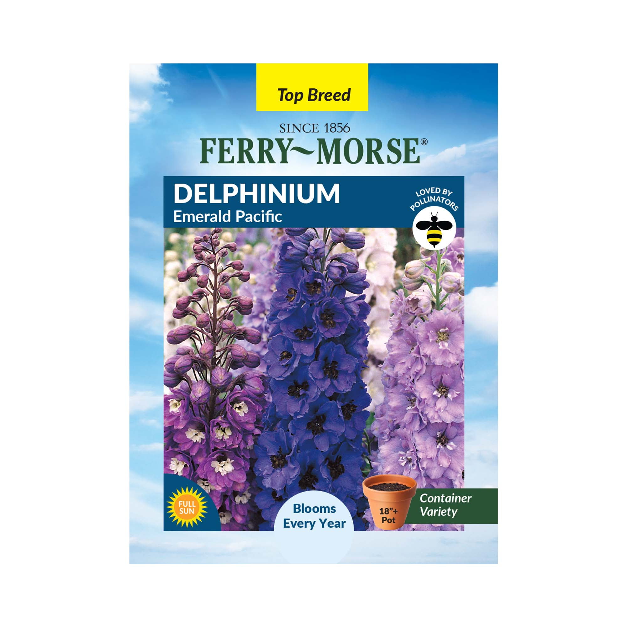 【Mサイズ】フェローズ pherrows ccmasters seabees Perennial Wildflower Seed Mix - Bulk Wildflower Seeds for