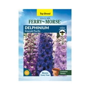 Ferry-Morse 100MG Delphinium Emerald Pacific Perennial Flower Seeds Full Sun