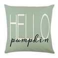thumbnail image 5 of Guanhe 4Pcs Pillowcase Thanksgiving Decorations Clearance Decorative & Throw Pillow Covers for Indoor Outdoor Living Room Sofa Patio Funiture Garden, 5 of 9