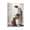 Frame-style, variant on Jesus Christ Wall Art Jesus And Woman Poster Jesus Heals Bleeding Woman Canvas Print Poster Decorative Painting Canvas Wall Art Living Room Posters Bedroom Painting 12x18inch(30x45cm)