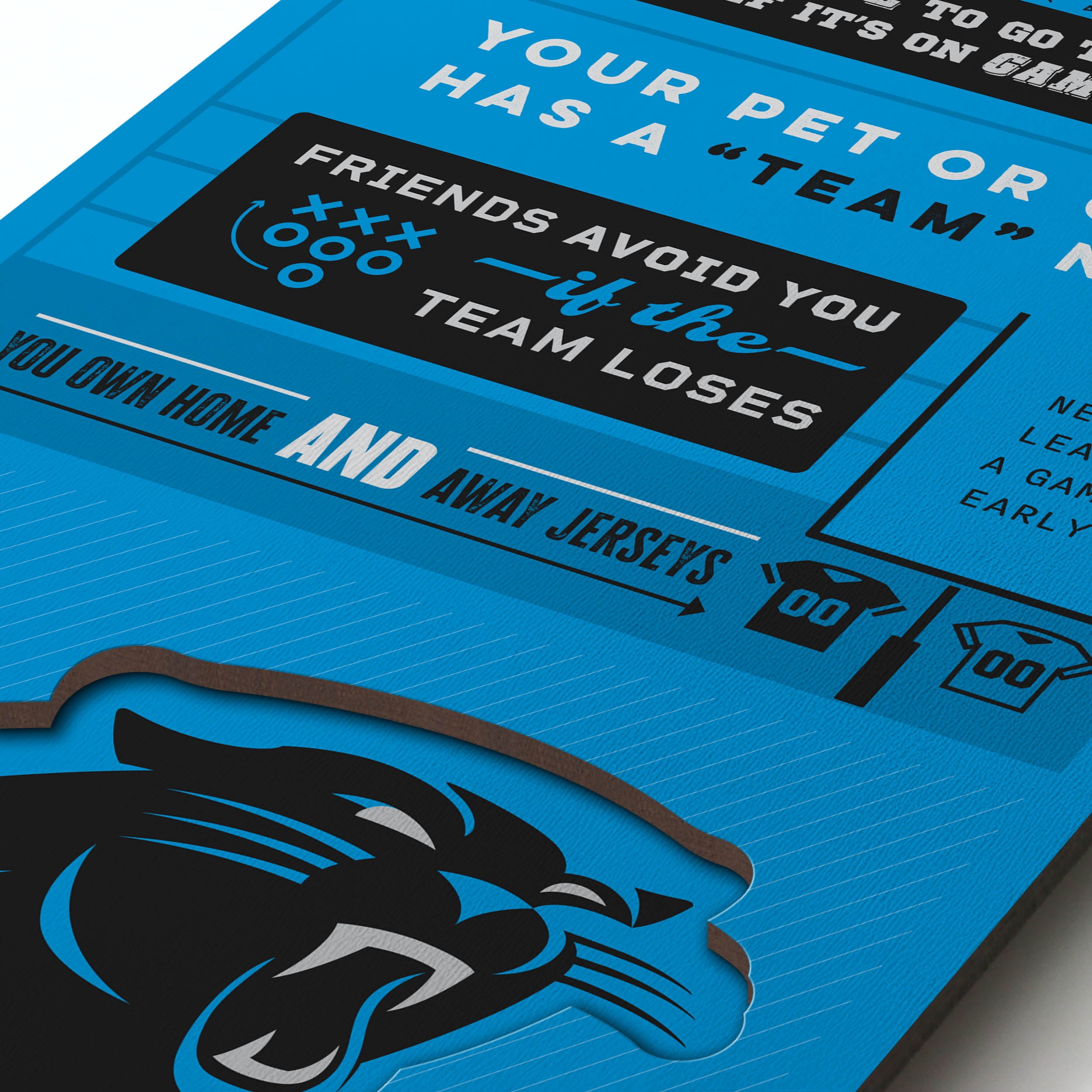 YouTheFan NFL Carolina Panthers 3D Top 10 Wall Art