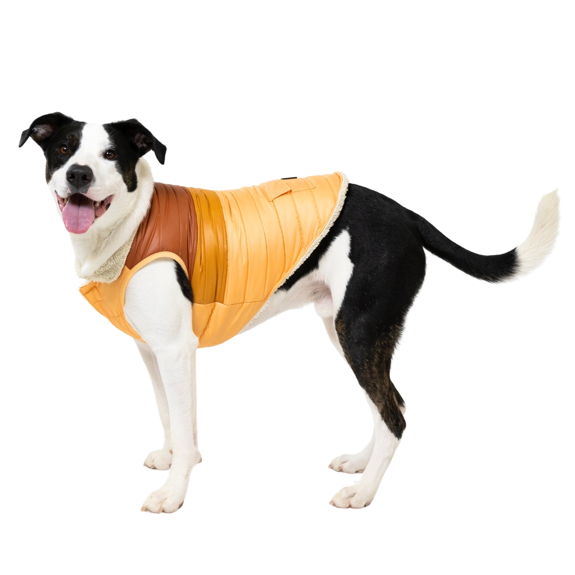 Vibrant Life Quilted Winter Puffer Coat for Medium Dogs, Brown and Orange