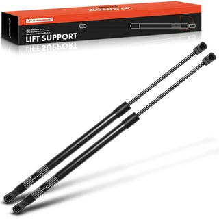 Tailgate Lift Supports in Lift Supports & Components 