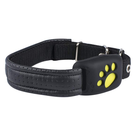 Gps Cat Collar