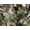 Woods Camo, variant on Boulder Creek By Kingsize Men's Big & Tall  Thermal Lined Fleece Vest