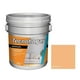thumbnail image 1 of Pintura Meridian Tecnohogar Color Salmón 18 Litros, 1 of 3