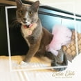 thumbnail image 4 of Light Pink Dog Tutu Skirt | XS-XXXL, 4 of 11