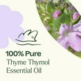 thumbnail image 4 of Plant Therapy Thyme Thymol Essential Oil 100% Pure, Undiluted, Natural Aromatherapy 30 mL (1 oz), 4 of 7