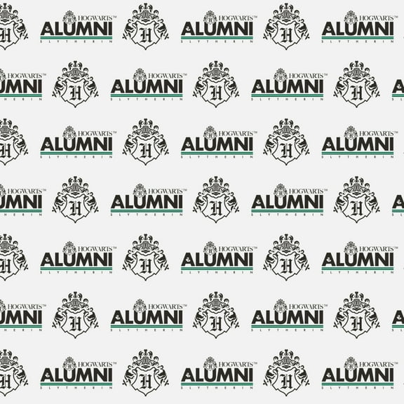 Harry Potter Slytherin Alumni Premium Roll Gift Wrap Wrapping Paper