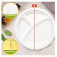 100 Compostable Paper Plates, 500 Pack 9 Inch 3 Compartment Disposable