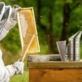 thumbnail image 5 of Honey Keeper 14-Inch Bee Hive Brush with Wooden Handle - Beekeeping Tool for Beekeepers, 5 of 6