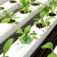 thumbnail image 5 of QUMIIRITY 50Pcs Pod Label Kit Green PVC Self Adhesive for Indoor Plant Grow Baskets, 5 of 5