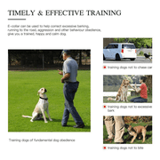 DESIGNICE Shock Collar for Dogs Long-Distance Control Dog Shock Collar with Remote Control Weather-Resistant Dog Training Collar,Blue