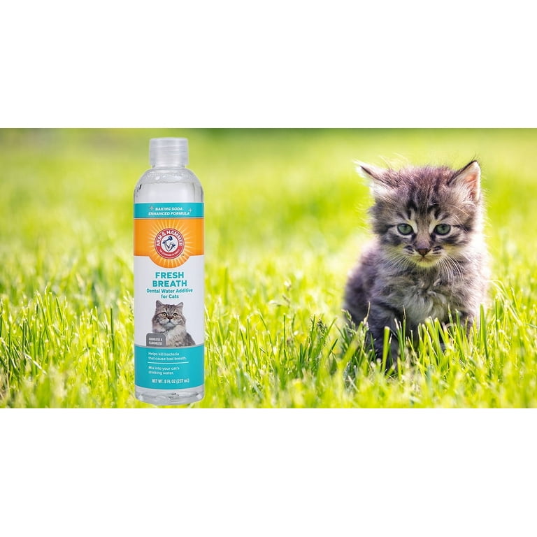 Cat Dental Care Arm Hammer Advanced Care Dental Health Water