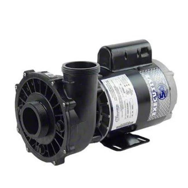 Waterway Plastics 3711221-1D 230V Executive 56-Frame Spa Pump 3 HP