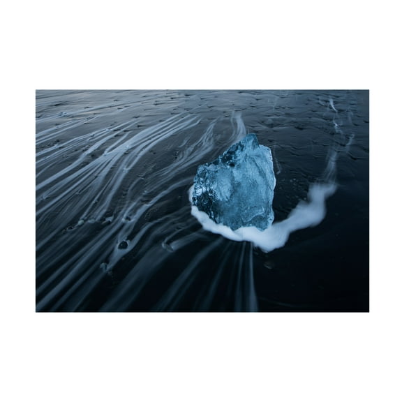 Trademark Fine Art Mei Zhang The Heart Of The Ocean Canvas Wall Art