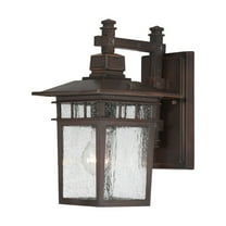 Nuvo Lighting Cove Neck 1-Light Outdoor Wall