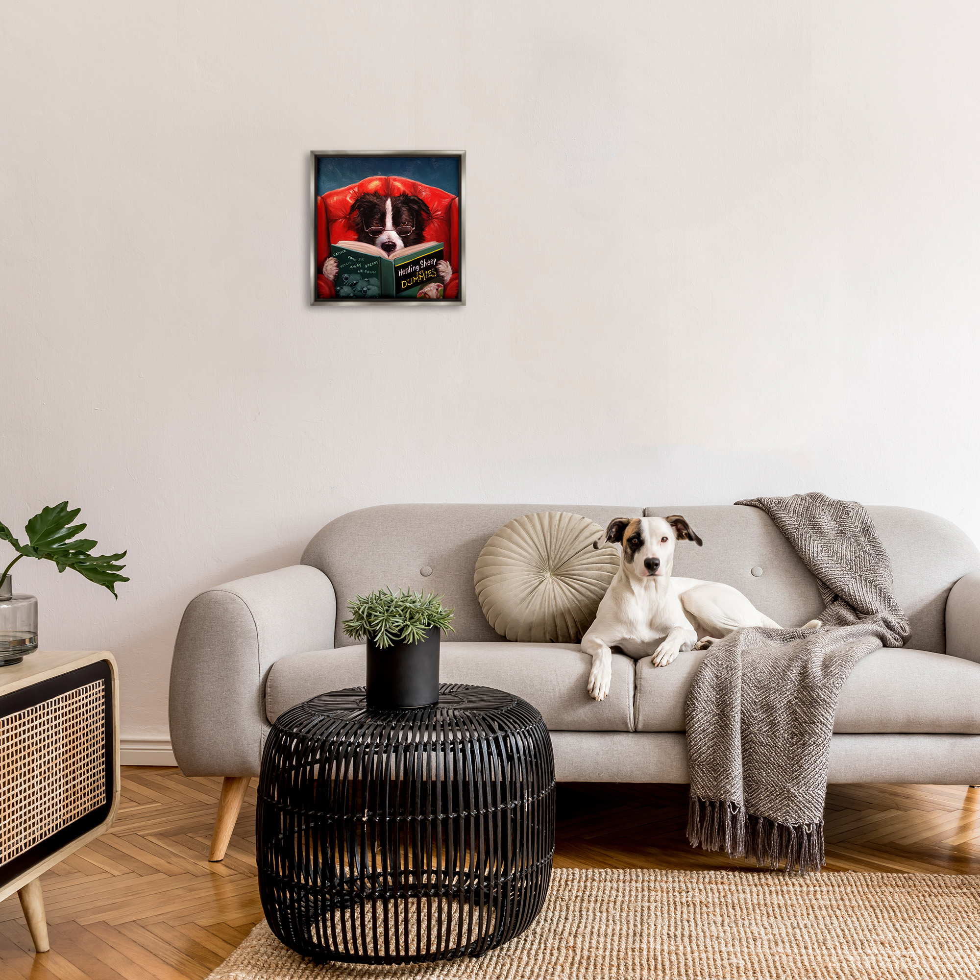 Stupell Industries Sheep Dog Reading for Dummies Animals & Insects Gray Floater Wall Art Design By Lucia Heffernan
