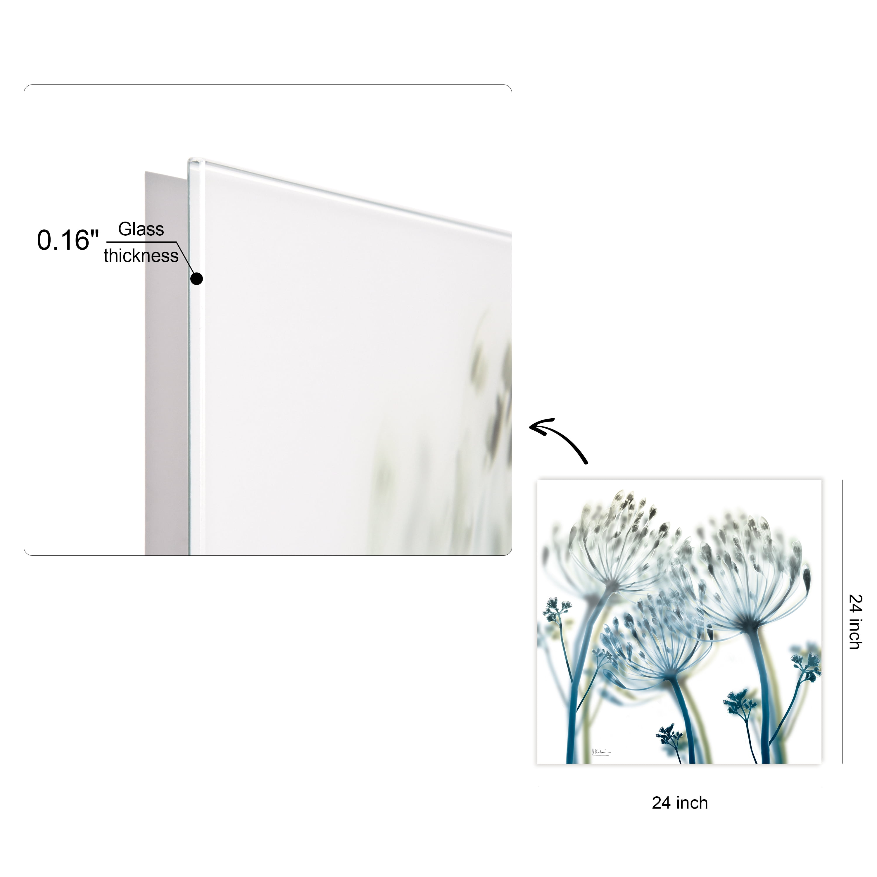 Unfocused Beauty 2 Frameless Free Floating 24 in x 24 in Photography Art Prints, by Empire Art