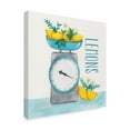 thumbnail image 2 of Trademark Fine Art 'Lemon Scale II' Canvas Art by Gabrielle McClure, 2 of 4