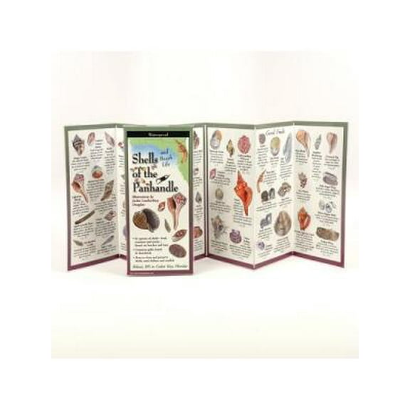 FoldingGuides: Shells of the Panhandle (Other)