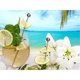 thumbnail image 2 of Cuadros Decorativos 5D Diamond Painting Flower Full Round Drill DIY Wall Art Crafts (B9408) Tmvgtek embutido en tela, 2 of 9