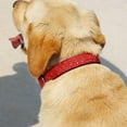 thumbnail image 4 of ORUYROP Glittering Basic Dog Collar, Comfy & Durable Dog Collar for Small Medium Large Dogs with Eco-Friendly Plastic Buckle, Adjustable Stylish Nylon Dog Collars, Fit Necks: 9.8-22.4‘‘ (L,, 4 of 7
