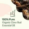 thumbnail image 5 of Plant Therapy Organic Clove Bud Essential Oil, 100% Pure, USDA Certified, Natural Undiluted Aromatherapy, 10mL, 5 of 8