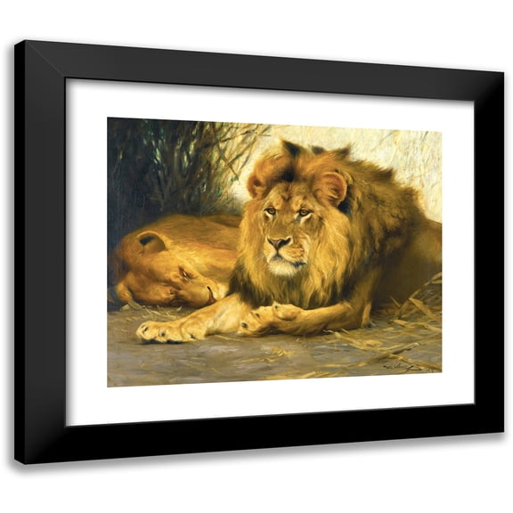 Wilhelm Kuhnert 14x12 Black Modern Framed Museum Art Print Titled - Resting Lions (1913)