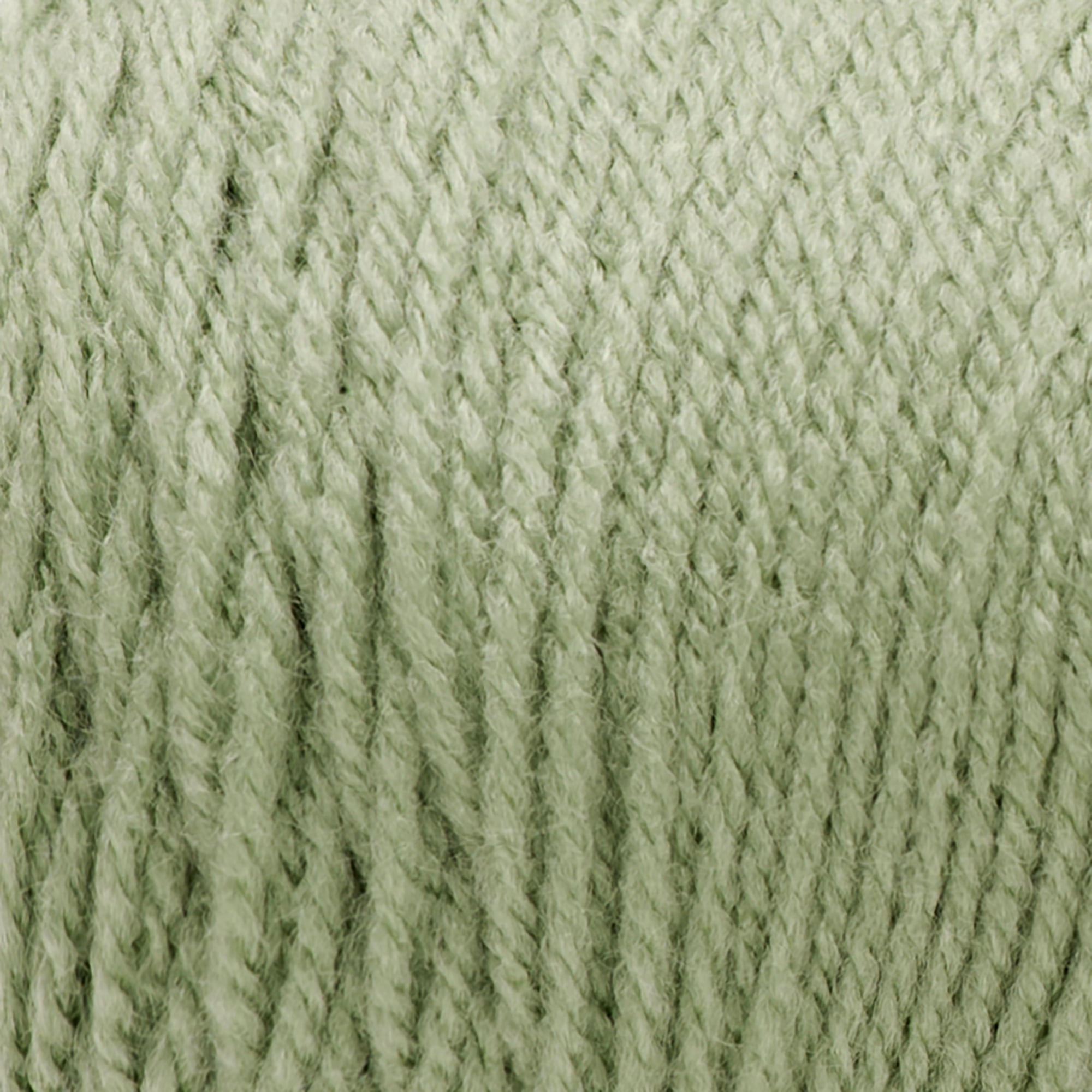 (2 pack) Red Heart® Super Saver® 4 Medium Acrylic Yarn, Frosty Green 7oz/198g, 364 Yards