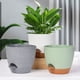 thumbnail image 5 of Macetas biodegradables Bewildely para jardinería marrón olla blanca paquete de 3 6.5 pulgadas, 5 of 6