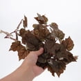thumbnail image 3 of BEADCEST Plants for Gecko Tank Hanging Plastic Dark Brown 1 Set, 3 of 5