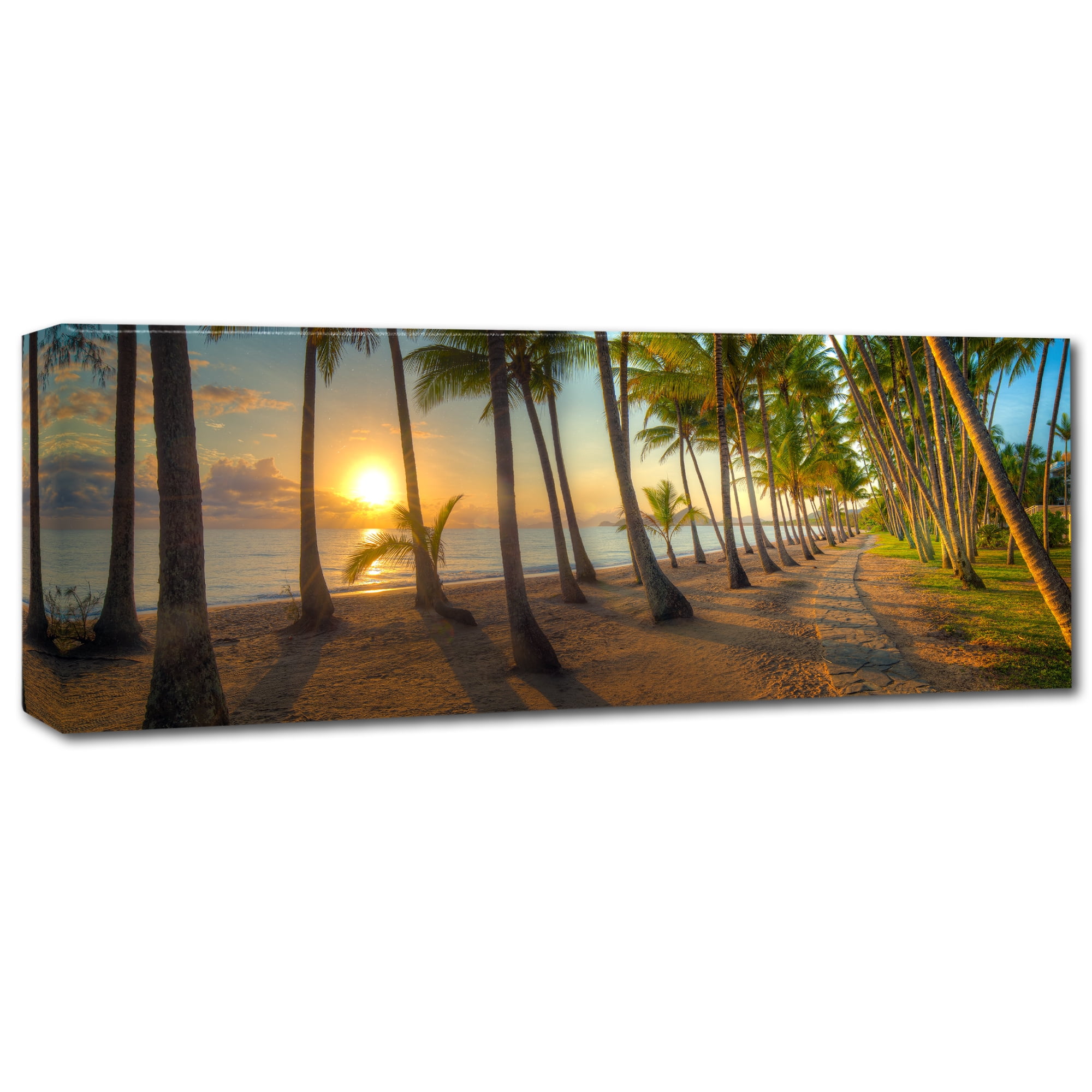 Trademark Fine Art 'Palm Cove' Canvas Art by Doug Cavanah