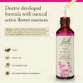 thumbnail image 2 of Remedios florales originales de Bach, esencia floral, olmo, 20 ml, 2 of 6