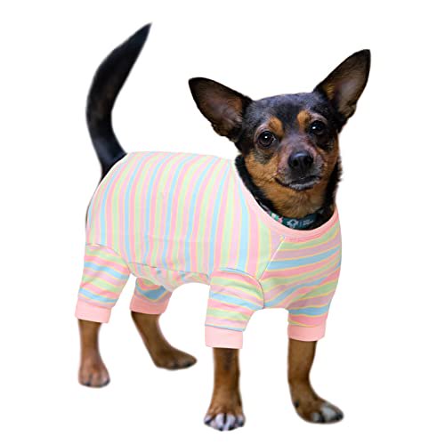 Gorsbark Recovery Suit for Dog Cat After Surgery, Neutering Recovery