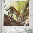thumbnail image 1 of Zoo Tapestry, Leopard Panthera Pantus on Tree Nature Reserve Botswana Carnivore Animal, Fabric Wall Hanging Decor for Bedroom Living Room Dorm, 5 Sizes, Green Pale Brown White, by Ambesonne, 1 of 1