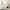 Beige, variant on Corduroy Upholstered Reversible Sleeper Sectional Sofa with Pull Out Bed and Convertible Storage Chaise Lounge , 3 Seater Corner Couch Sofabed with 2 Cupholder and USB Charge Port for Living Room